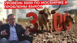 Сергей Дроздов - Уровень 3000 по Мосбирже и проблемы биржевых быков