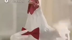Петух