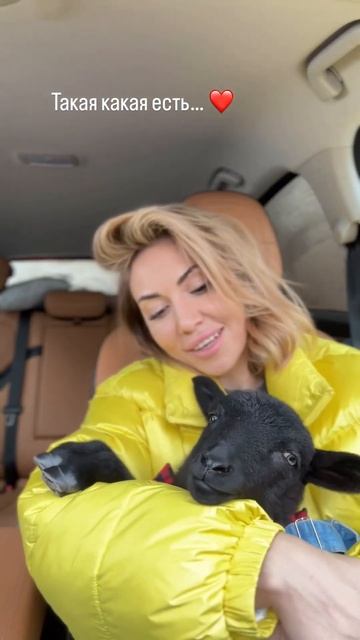 #любовькживотным #animals #семья