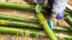 Kind man helps 17 year old single mother complete bamboo house 80% | Ma Tieu Ly