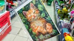 🧡ФИКС ПРАЙС🦊НОВИНКИ🧡