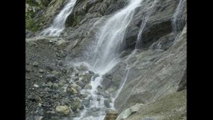 Аленький цветочек 1ч. Как узнать промысел Божий?