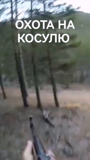ОХОТА НА КОСУЛЮ #shorts смотреть онлайн