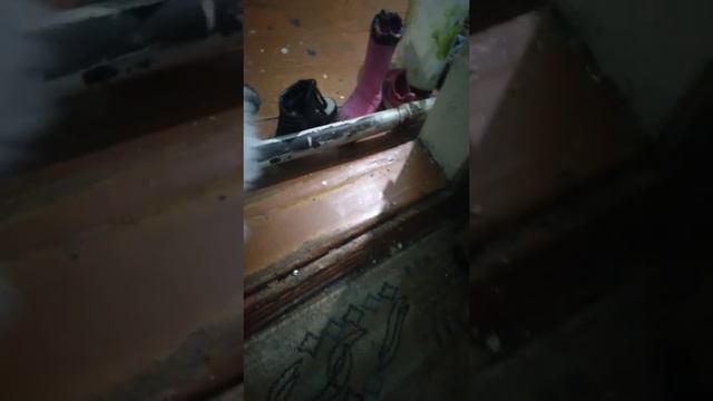 Маю собаку укусил клещ 😭😭😭 смотреть онлайн