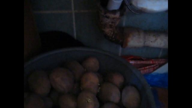 Кто живет под мойкой? смотреть онлайн