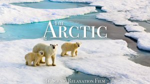 Scenic Relaxation - The Arctic - 11.2022