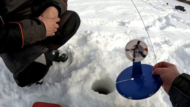 ВЗОРВАЛИ ЩУЧИЙ ПРУД ЖЕРЛИЦАМИ! ТАКОГО ФИЕРИЧЕСКОГО КЛЁВА я не ожидал! НОВИНКА ФИШКИ ПЕТРОВА у меня! смотреть онлайн