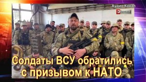 Солдаты ВСУ обратились с призывом к НАТО