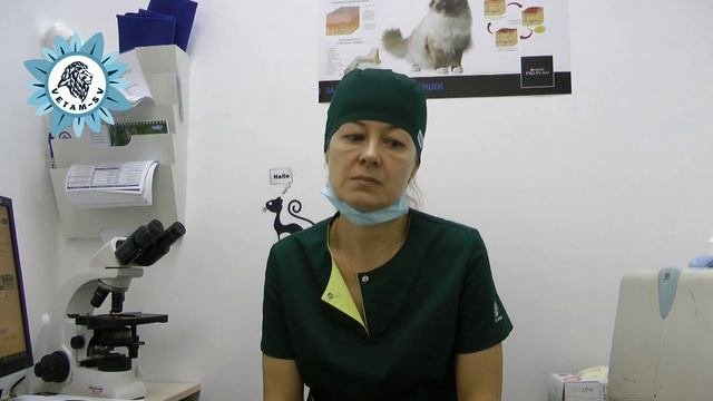 Как подготовиться к приему дерматолога?