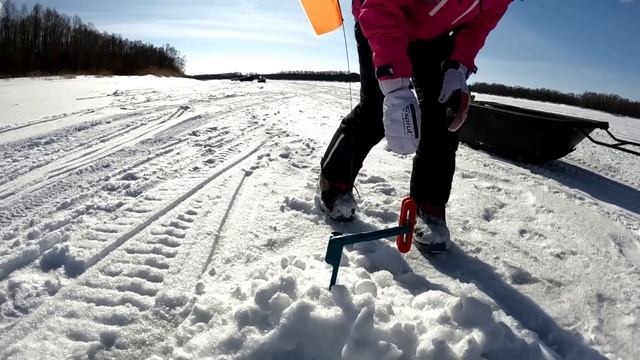 ОСТАВИЛИ ЖЕРЛИЦЫ НА НОЧЬ и ВОТ ЧТО из этого ВЫШЛО... ГОРЯТ ВСЕ ФЛАЖКИ!!! СУДАКИ НЕ ВХОДЯТ В ЛУНКУ!! смотреть онлайн