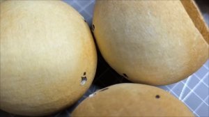 Кормушка для птиц из природных материалов ребёнку в школу