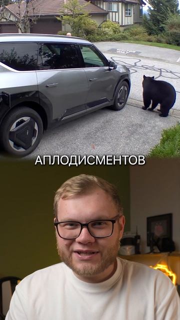 Медведь напал на электромобилиста! смотреть онлайн