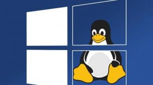 УСТАНОВКА  LINUX внутри WINDOWS   ( WSL + DE )