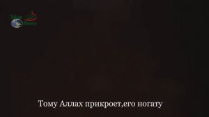 Самые любимые люди для Аллаhа. Али Абдулсалимов (чтец).