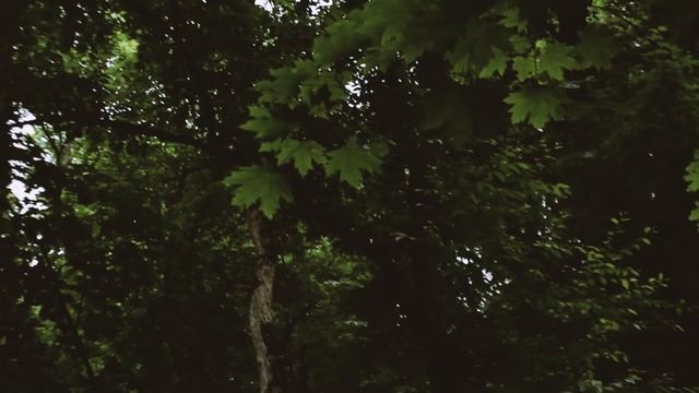 Парк. Дождь. После дождя.