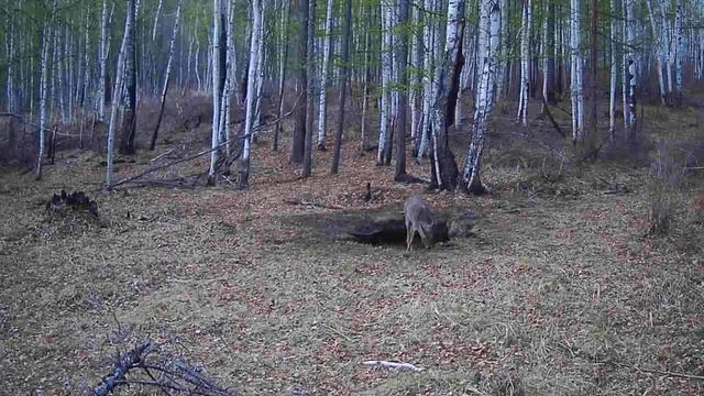 ВСЕ СОГЛАСНО ОЧЕРЕДИ ЖИЗНЬ НА СОЛОНЦЕ смотреть онлайн