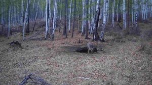 ВСЕ СОГЛАСНО ОЧЕРЕДИ ЖИЗНЬ НА СОЛОНЦЕ
