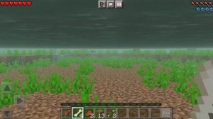 За мной гонятся медведи? Играю в minecraft