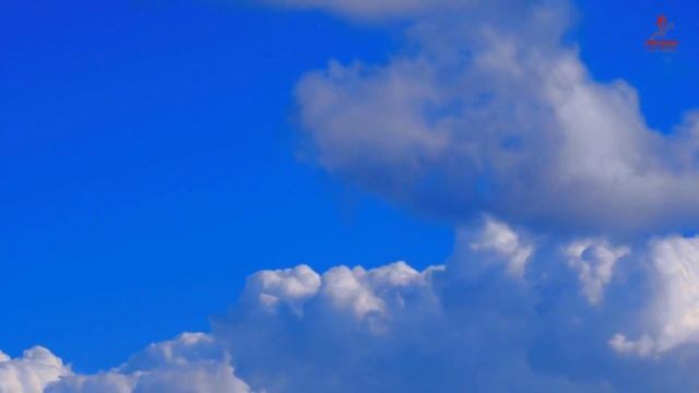 Best Flute Music For Meditation | Non Stop Best Krishna Flute Music | Relaxing Music | Krishna Flut