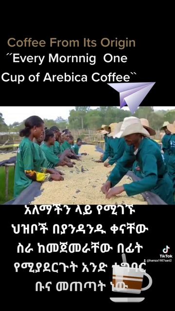 Ethiopian Arebica Coffee Mekes Haayy смотреть онлайн