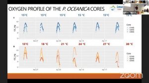 Current and potential future CO2 dynamics in seagrass meadows, Samuel Hermant