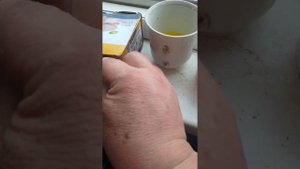 Врановые чем мы кормим дикую сороку-чертовку Дусечьку подробно  отвечаем на вопросы  подписчиков