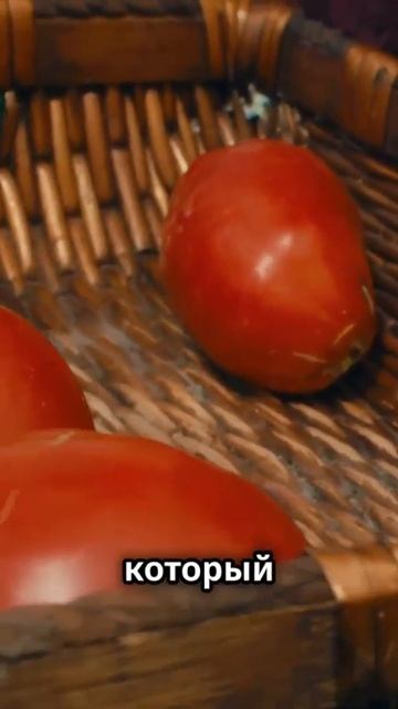 🍅 Удивительный мир томатов: факты, о которых вы не знали! 🍅 #факты #томат #помидор #природа