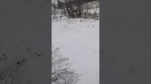 02-02-2025 Полумарофон 20км, моржевание в процессе полумарафона,пресс,ролик,дарц,лыжи 5км