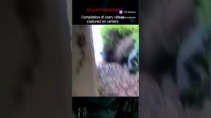 Подборка страшных видео