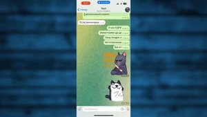 Как включить Микрофон в Телеграмме на Айфоне