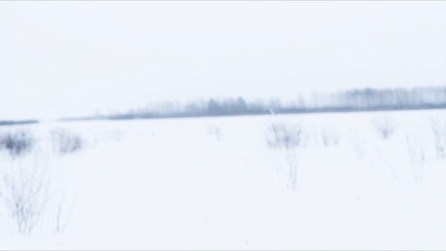 Рябчик