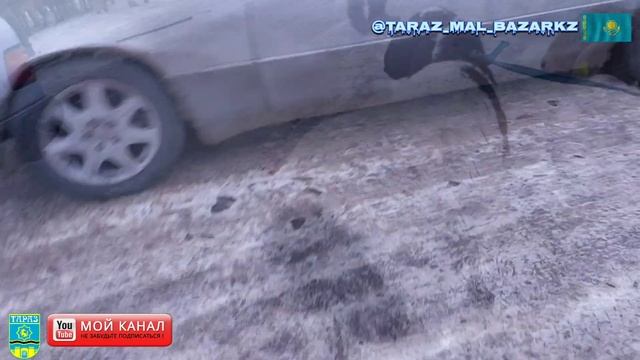 ЖАМБЫЛ АС-ЕР МАЛ БАЗАРЫ / ҚОЙ  ЕШКІ БАҒАЛАРЫ 10.12.2023 ✅