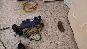 WD-40 против злых городских ос