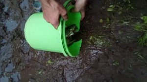 ЩУКИ,КРУПНЫЕ ГОЛАВЛИ и СОРОЖКИ на ПОПЛАВОК!Река Чермасан. | #fish #fishing  #рек  #рекомендации |