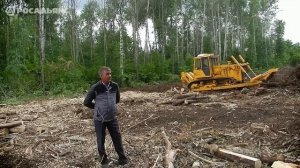 Работа бульдозера Б10 с корчевателем. Лесная просека. Альметьевск. Купить бульдозер в Росальянсе.