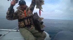 Рыбалка и туризм на Сахалине (Промо ролик о LifeSakh)