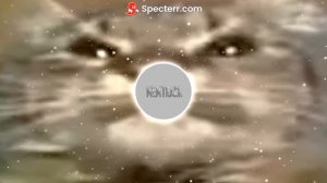 Кит, ты маму мав? (премьера кита 1920)