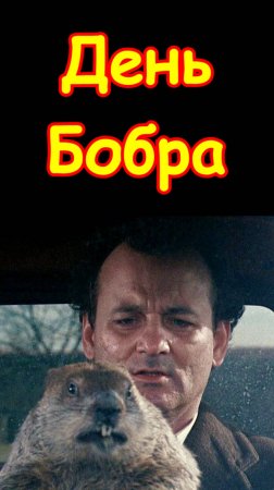Ток Шоу Чё попало! День сурка. Праздник. Предсказание. Смех. Юмор. Приколы. Шутки. Анекдоты. Скетч
