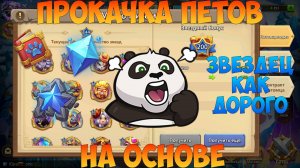 СКИНЫ, ПЕТЫ, ЗВЁЗДЫ, АУГМЕНТАЦИИ, ПАРАМЕТРЫ, Битва замков, Castle Clash