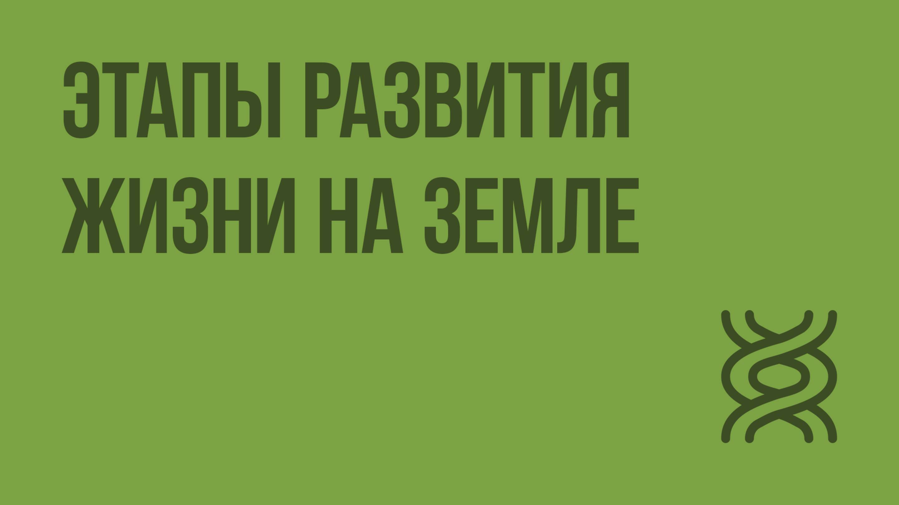 Этапы развития жизни на Земле. Видеоурок по биологии 9 класс