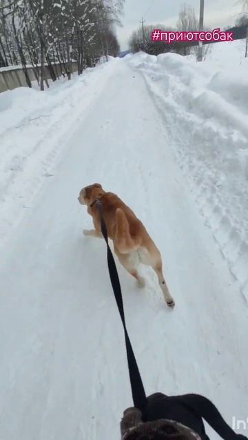 С Персиком я летаю со скоростью света Часть 3