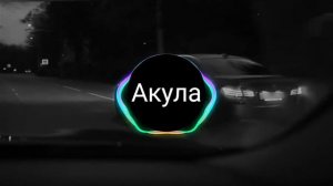 Акула мальчик мой как твои дела?