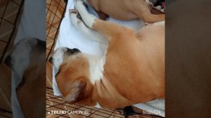 42 Польза материнского молока