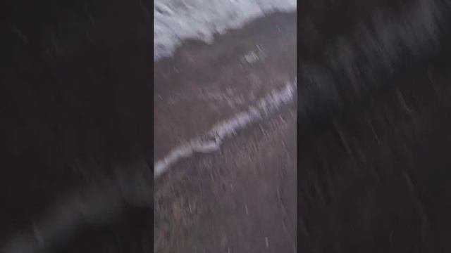 обаюдно