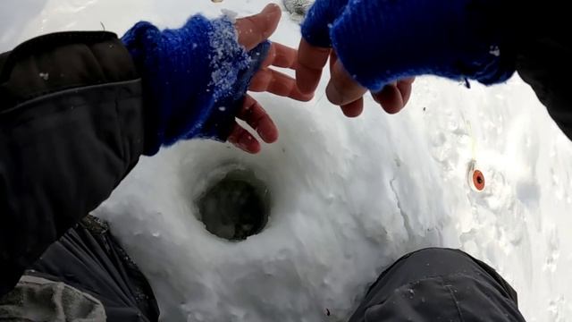 ЧАН сразу ЗУБЫ ПОКАЗАЛ. ЛОВЛЯ КАРАСЯ зимой. Разведка новых мест. МЫ СДЕЛАЛИ ЭТО НЕ СМОТРЯ на МЕТЕЛЬ! смотреть онлайн