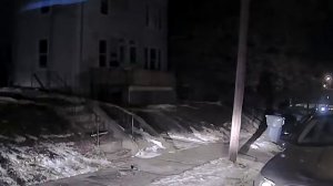 Задержание со стрельбой #31