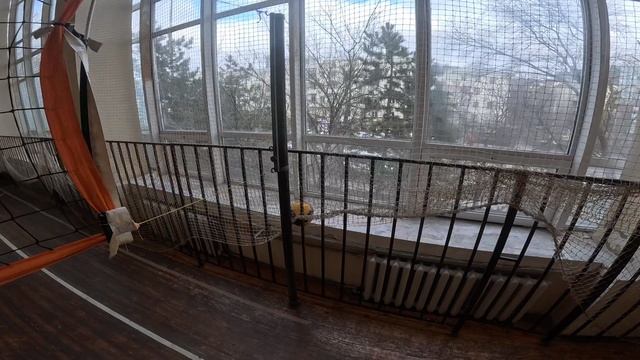 Волейбол Команда Мечты 02.02.25 ч9