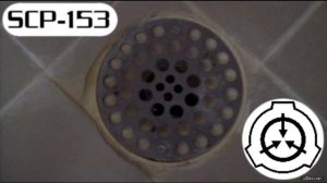SCP-153: Drain Worms