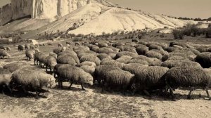 №171. 2-ой день СЛАЙД-ШОУ