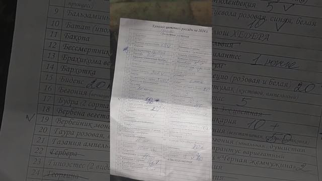 Не типичные кашпо! Что сажаю в кашпо! Чёткие перечень растений и количество!